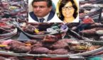 اتحادي تعاونيتي البحر الأزرق و بحارة المحيط للطحالب بإقليم الجديدة يشيدون بموسم استثنائي